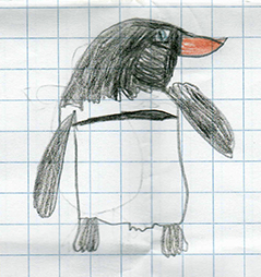 pinguino_galapagos2