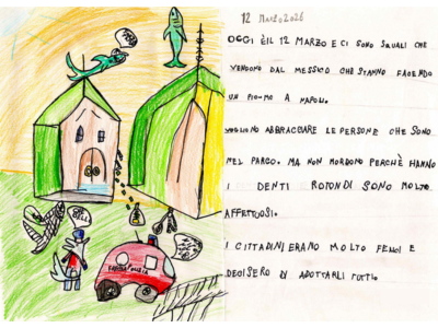 squali messicani (1)