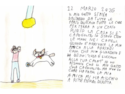 gatto